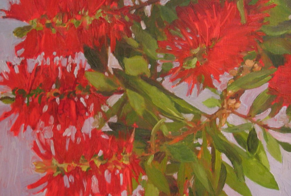 RED BOTTLEBRUSH